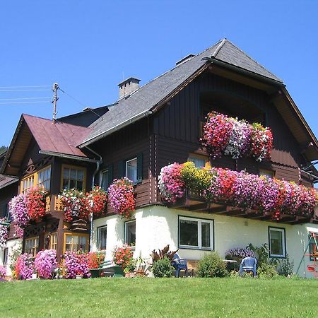 Bauernhof Haim-Schnepfleitner Pichl bei Aussee 외부 사진