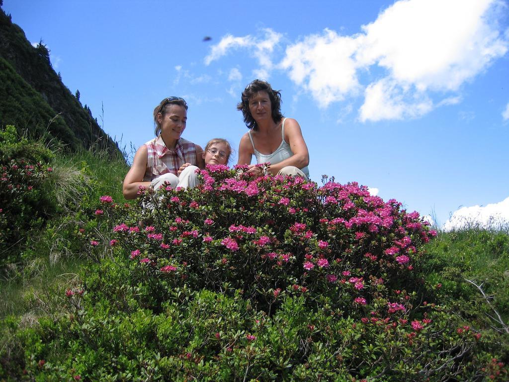 Bauernhof Haim-Schnepfleitner Pichl bei Aussee 외부 사진