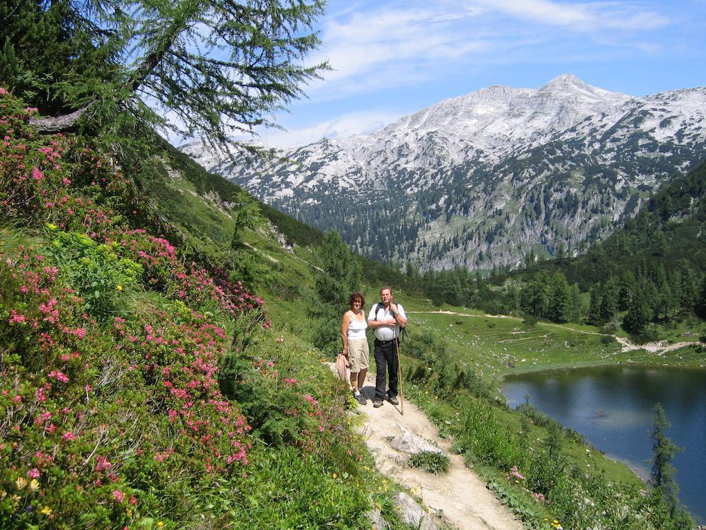 Bauernhof Haim-Schnepfleitner Pichl bei Aussee 외부 사진
